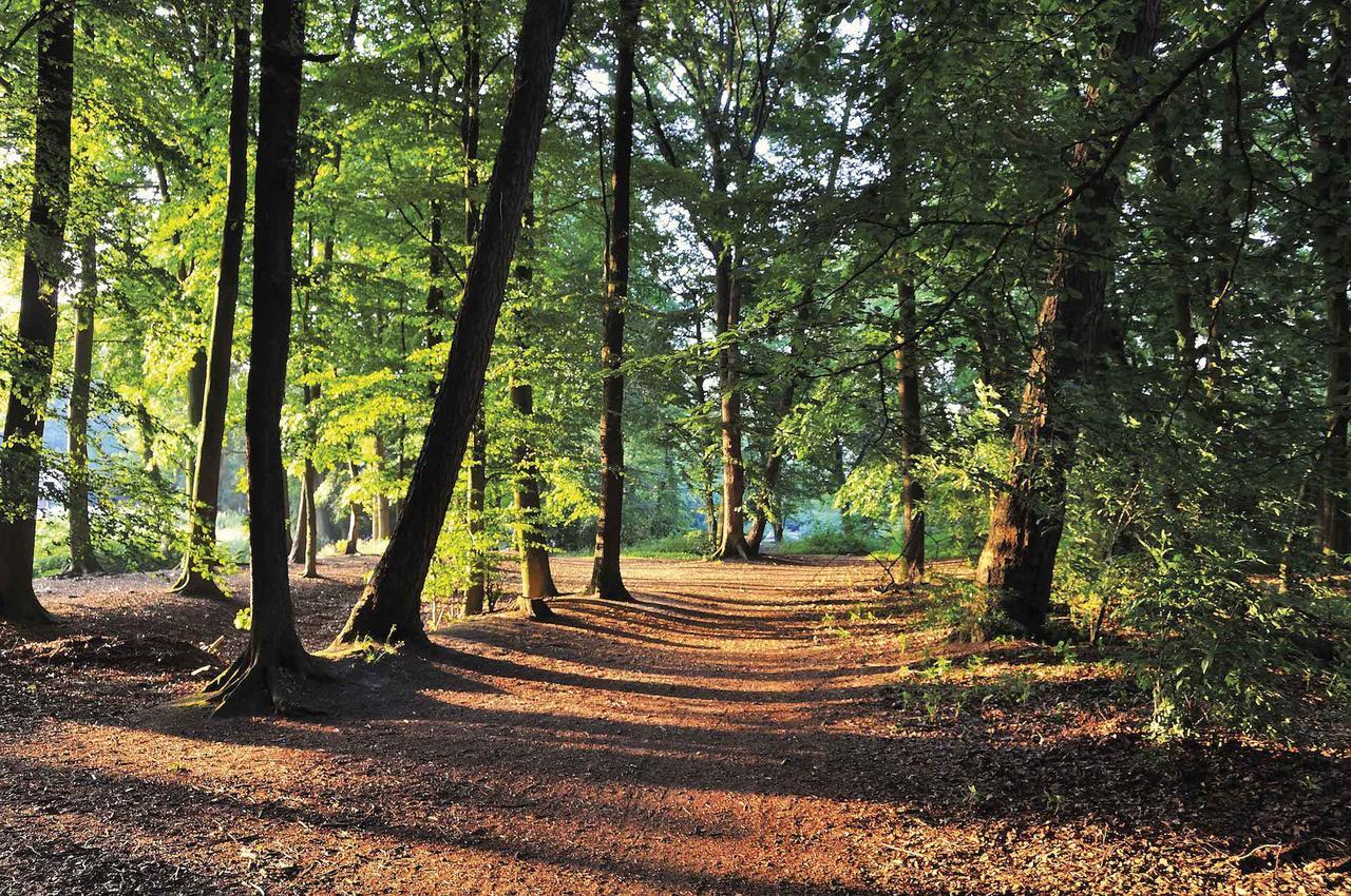Lindenhof Hotel Tepe Damme Bagian luar foto